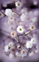 Similar image 1281875