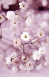 Similar image 1281876