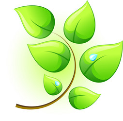 Similar image 1281887