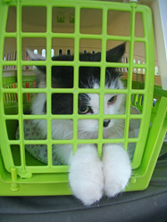 Similar image 1281928