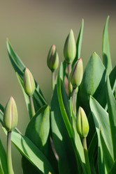 Similar image 1281934