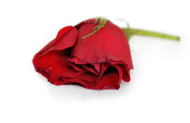 Similar image 1281947