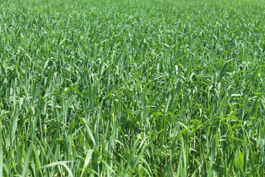 Similar image 1281962