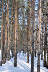 Similar image 1282014