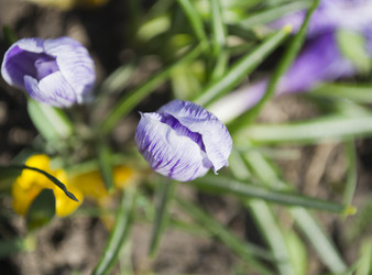 Similar image 1282015