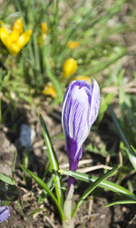 Similar image 1282016