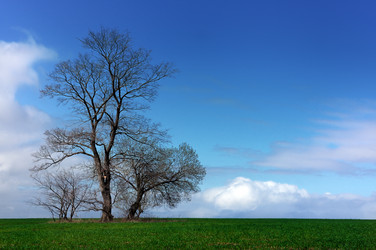 Similar image 1282051