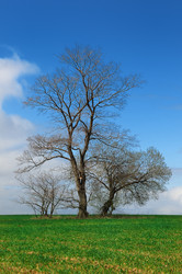 Similar image 1282054