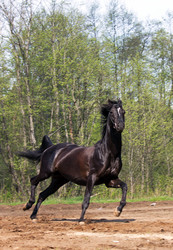 Similar image 1282098