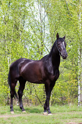 Similar image 1282099