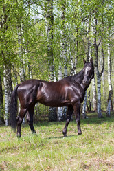 Similar image 1282100