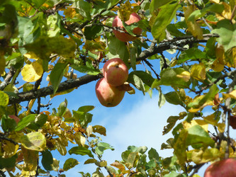 Similar image 1282104