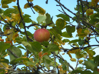 Similar image 1282105