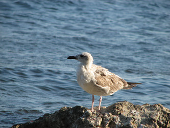 Similar image 1282107