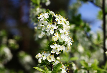 Similar image 1282218