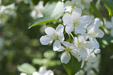 Similar image 1282219