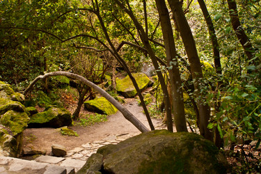 Similar image 1283099