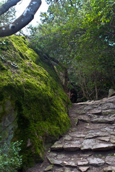 Similar image 1283101