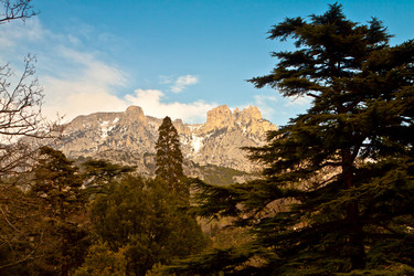 Similar image 1283102