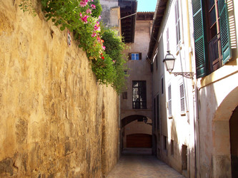 Similar image 1283110