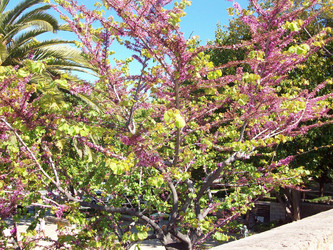 Similar image 1283111