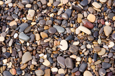 Similar image 1288543