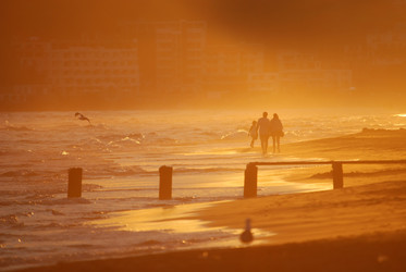 Similar image 1288947