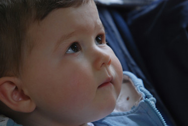 Similar image 1289257