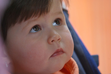 Similar image 1289258