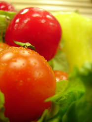 Similar image 1289282