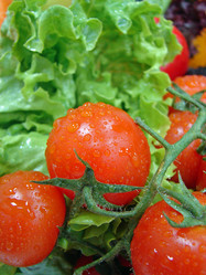 Similar image 1289312