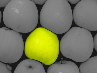 Similar image 1289339