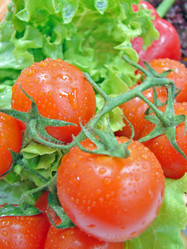 Similar image 1289352