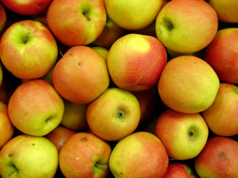 Similar image 1289353