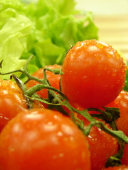 Similar image 1289369