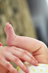 Similar image 1289491