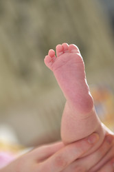 Similar image 1289511