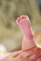 Similar image 1289520