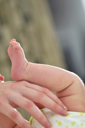 Similar image 1289536