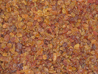 Similar image 1289631