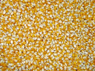 Similar image 1289637