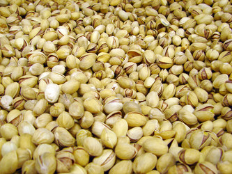 Similar image 1289640