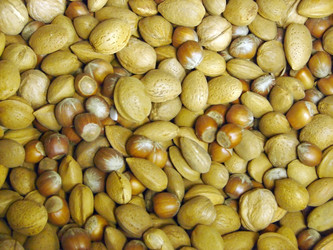 Similar image 1289758