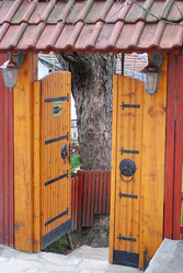 Similar image 1289767