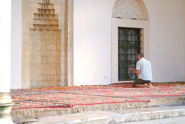 Similar image 1289780