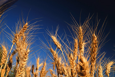 Similar image 1289822