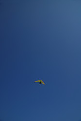 Similar image 1289824