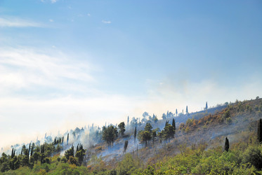 Similar image 1289825