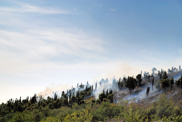 Similar image 1289827