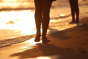 Similar image 1289829